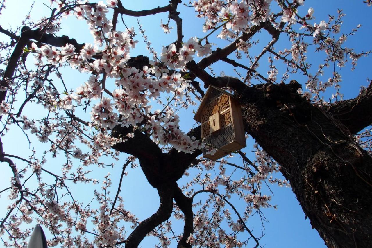 B&B Casa Sartori มัลเชซิเน ภายนอก รูปภาพ
