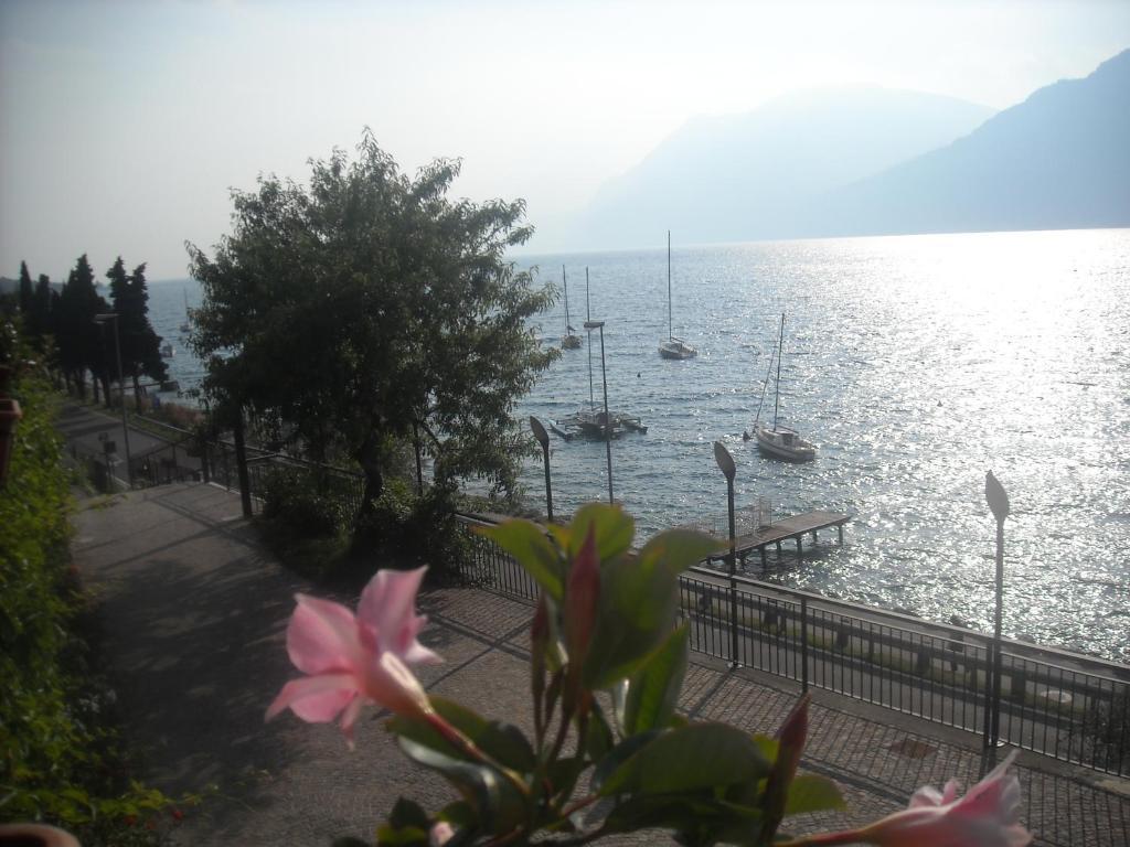 B&B Casa Sartori มัลเชซิเน ภายนอก รูปภาพ