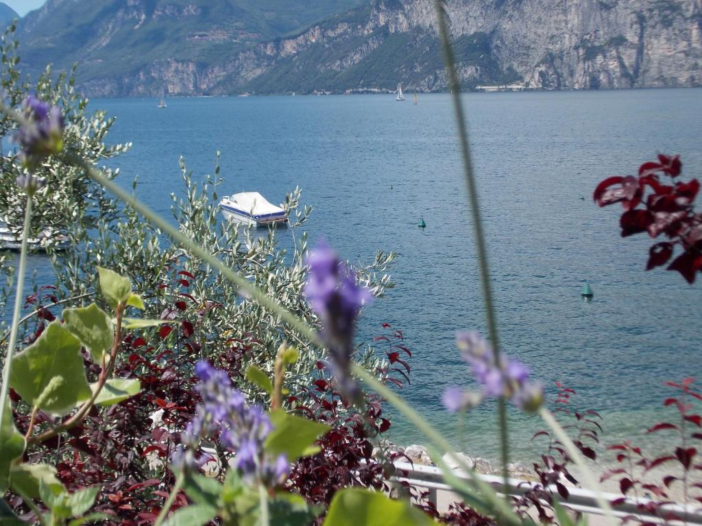 B&B Casa Sartori มัลเชซิเน ภายนอก รูปภาพ