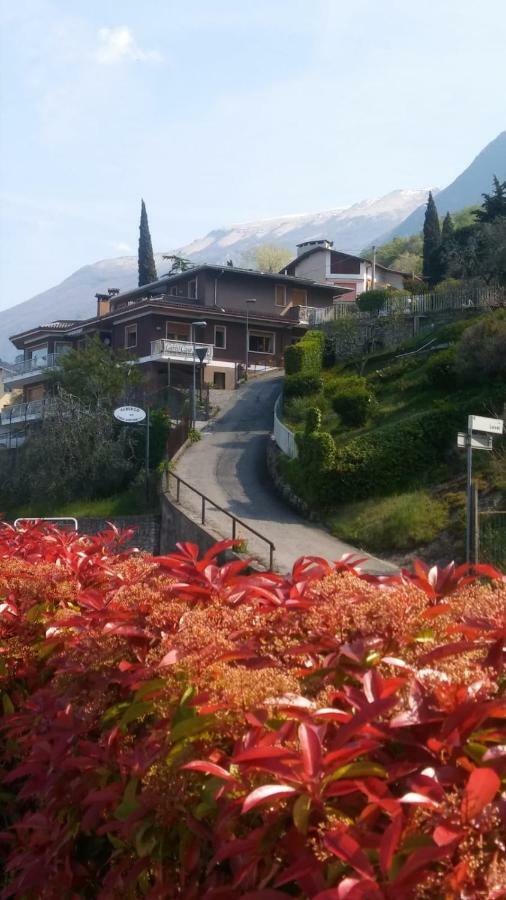 B&B Casa Sartori มัลเชซิเน ภายนอก รูปภาพ